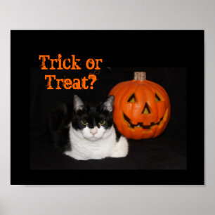 Halloween Kitty Poster