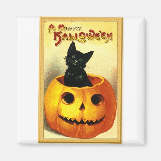 Halloween Kitty zit in Jack O Lantern Magneet (Voorkant)