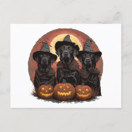 Halloween Labrador Retriever Honden Heksenhonden P Briefkaart