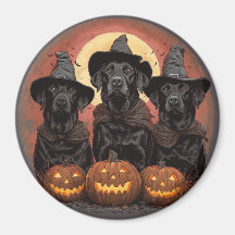 Halloween Labrador Retriever Honden Heksenhonden P