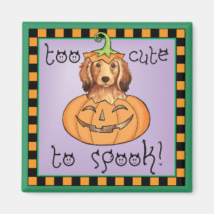 Halloween Longhaire Dachshund Magneet