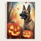 Halloween Malinoi Belge Avec Peur Citrouille (Devant)