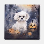 Halloween Maltese met pompoenen eng Magneet (Voorkant)