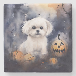 Halloween Maltese met pompoenen eng Stenen Onderzetter