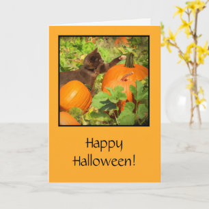 Halloween met Cute Kat en Pumpkin Kaart