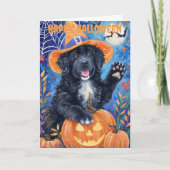 Halloween Newfoundland Dog Feestdagen Kaart (Voorkant)