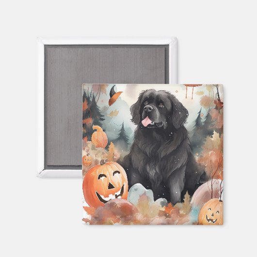 Halloween Newfoundland met pompoenen eng Magneet (Voorkant / Achterkant)