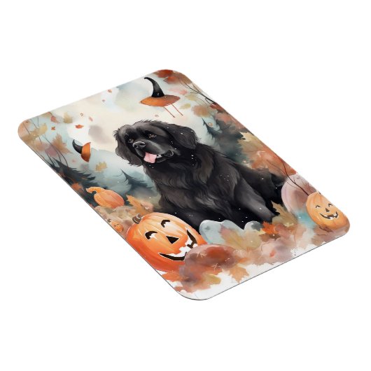 Halloween Newfoundland met pompoenen eng Magneet (Rechterzijde)