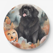 Halloween Newfoundland met pompoenen eng Papieren Bordje (Voorkant)