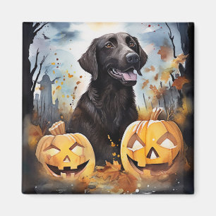 Halloween Nova Scotia met pompoenen eng Magneet