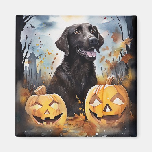 Halloween Nova Scotia met pompoenen eng Magneet (Voorkant)