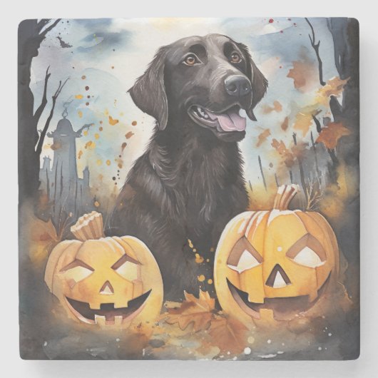 Halloween Nova Scotia met pompoenen eng Stenen Onderzetter (Voorkant)