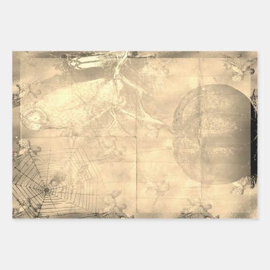 Halloween Owl en Pumpkin Creepy Inpakpapier Vel (Voorkant 2)