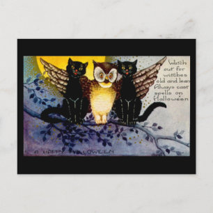 Halloween Owl en zwarte katten Briefkaart