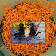 Halloween Owl en zwarte katten