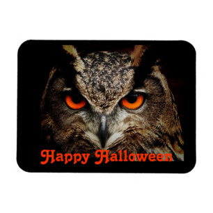 Halloween Owl Magneet