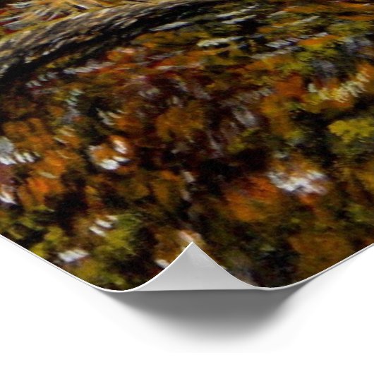 Halloween Owl Witch Poster (Hoek)