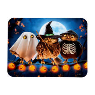 Halloween Owls Magneet