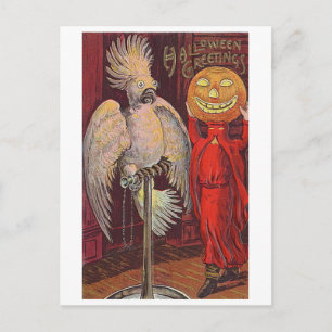Halloween Parrot en Pumpkin Briefkaart