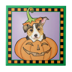 Halloween Pembroke Welsh Corgi Tegeltje