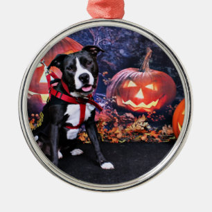 Halloween - Pitbull - Loki Metalen Ornament