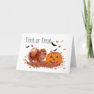 Halloween Pomeranian Kaart