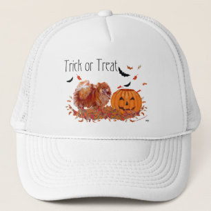 Halloween Pomeranian Trucker Pet