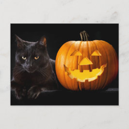 Halloween pomkin en zwarte kat briefkaart