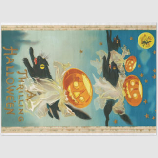  Halloween Pompoen Geesten en Black Cats Tissuepapier