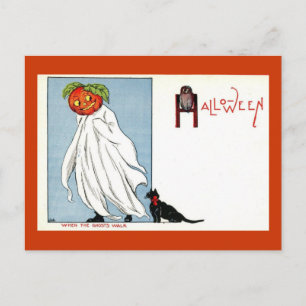 Halloween Pompoen Ghost Black Cat Briefkaart