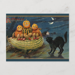 Halloween pompoenen Black Cat Briefkaart