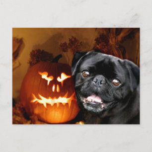 Halloween Pug Dog Briefkaart