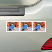 Halloween - Pug - QuaziMoto - Stephanie Bumpersticker (Op auto)