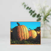 Halloween Pumpkin Patch in Daytime Briefkaart (Staand voorkant)