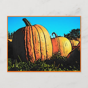Halloween Pumpkin Patch in Daytime Briefkaart