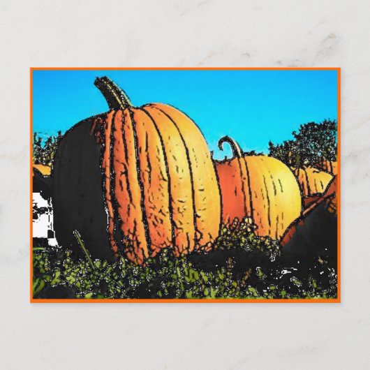 Halloween Pumpkin Patch in Daytime Briefkaart (Voorkant)