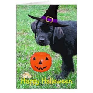 Halloween Pumpkin Puppy - Zwart lab