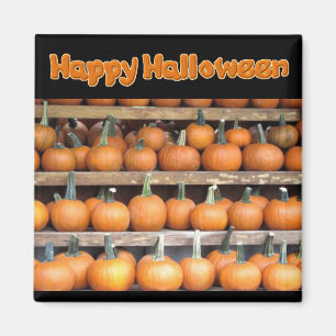 Halloween Pumpkin Wall Magneet