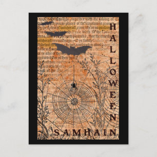 Halloween Samhain Spider Webs Briefkaart