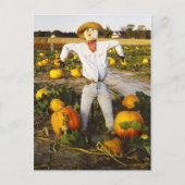 Halloween scarecrow in pompoenveld briefkaart (Voorkant)