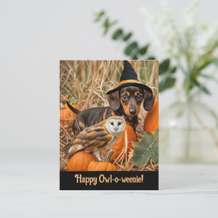 Halloween Schattigee Teckel Pup Uil Feestdagenkaart