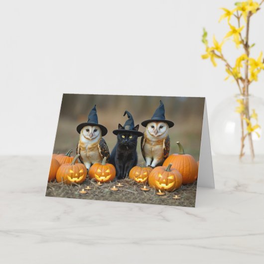 Halloween Schattigee zwarte kat en uilen Jack O La Kaart (Gele Bloem)
