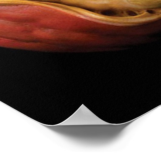 Halloween Sculpted Jack-O’-Lantern Witch Poster (Hoek)