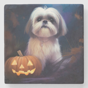 Halloween Shih Tzu Met Pompoenen Griezelen Stenen Onderzetter