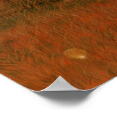 Halloween Skeleton Concert Poster (Hoek)