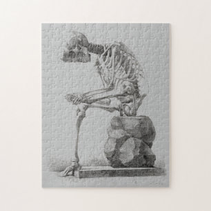 Halloween Skeleton Sitting Anatomy Legpuzzel
