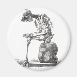 Halloween Skeleton Sitting Anatomy Magneet