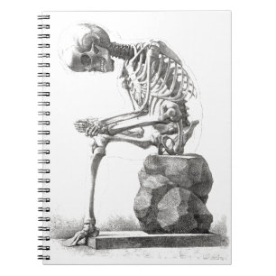 Halloween Skeleton Sitting Anatomy Notitieboek