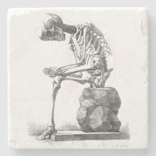 Halloween Skeleton Sitting Anatomy Stenen Onderzetter