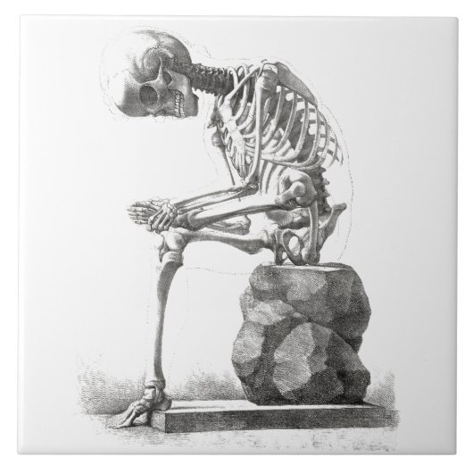 Halloween Skeleton Sitting Anatomy Tegeltje (Voorkant)